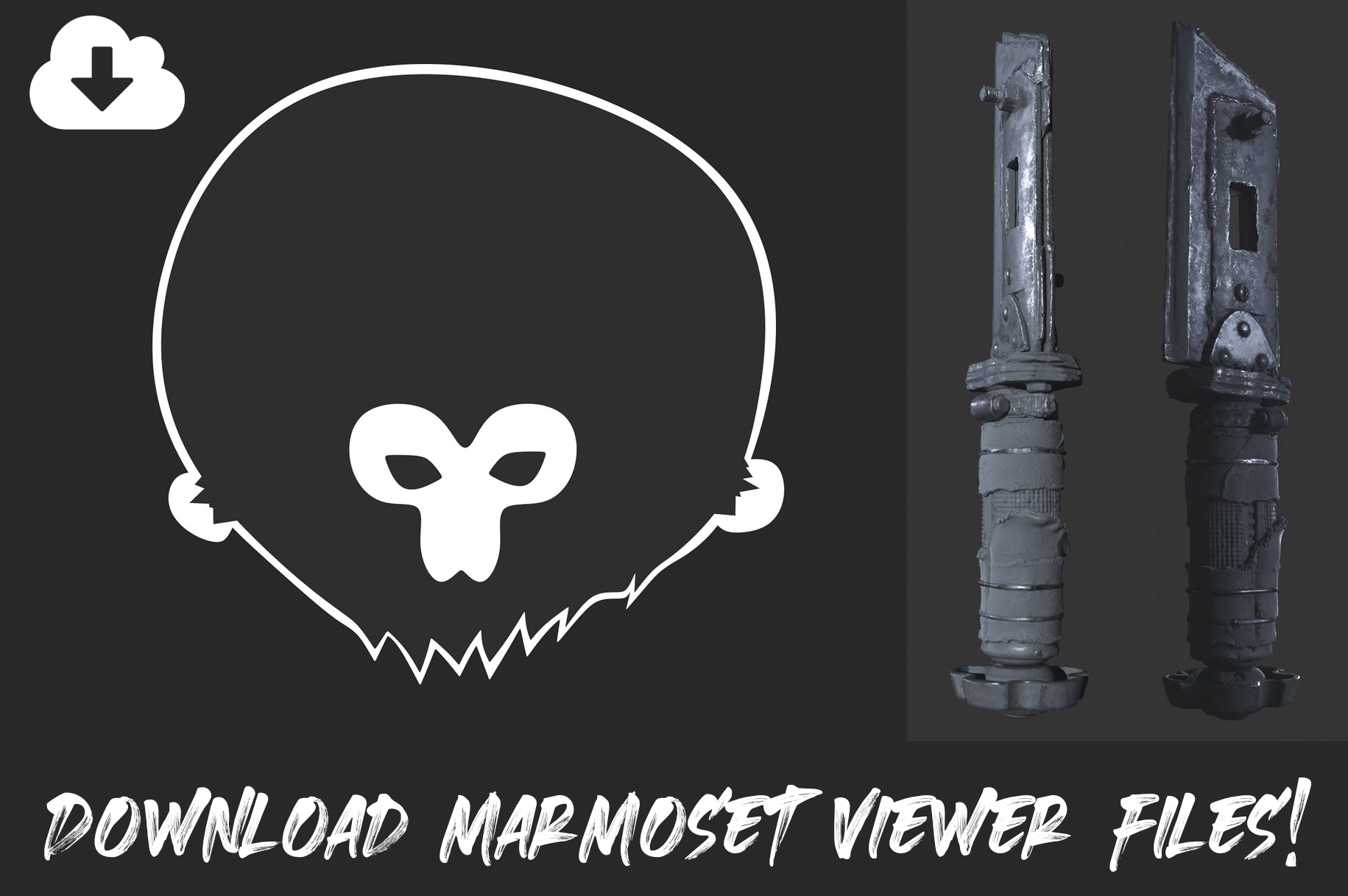 download_marmoset_viewer_files-1