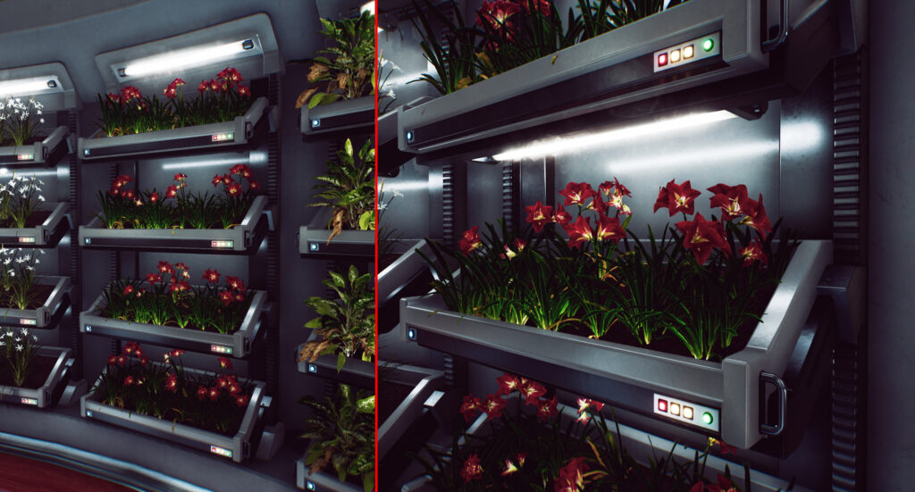 012_Plant_Beds-1024x551-1