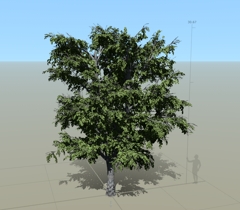 05speedtree