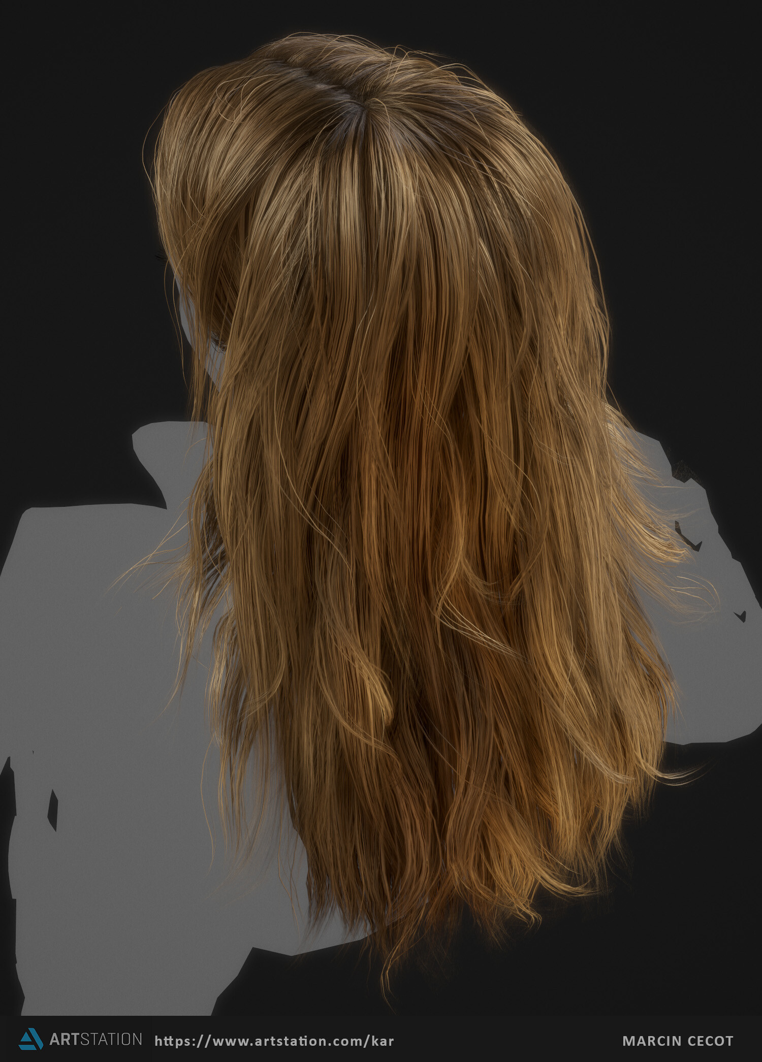 marcin-cecot-hairbig