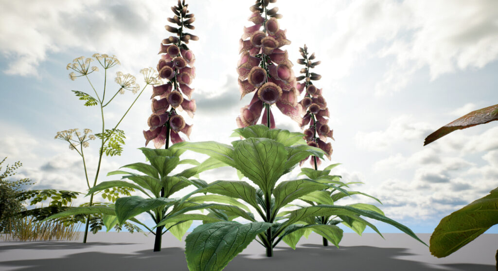 Untitled-10-1024x557-1