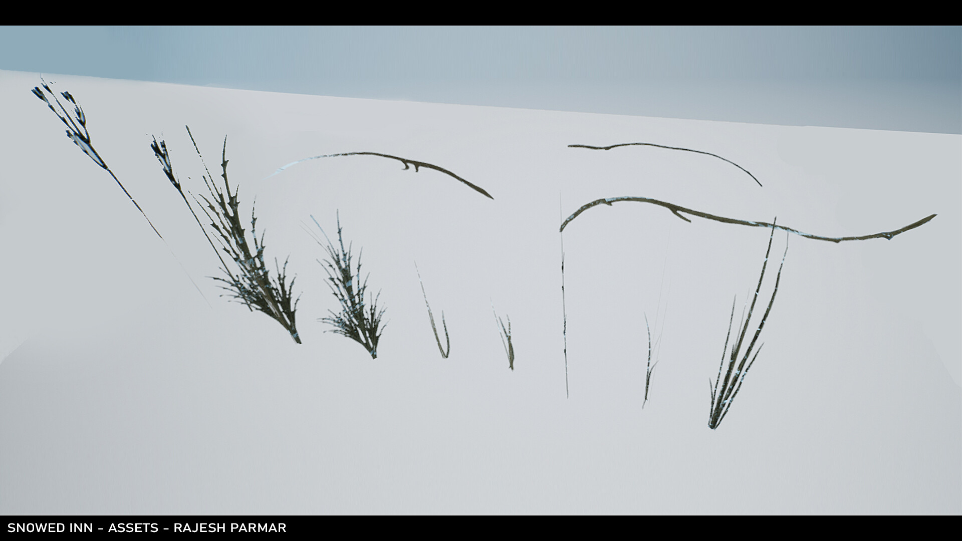rajesh-parmar-foliage