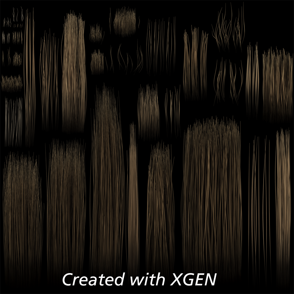 1b-xgen-texture-1024x1024-1