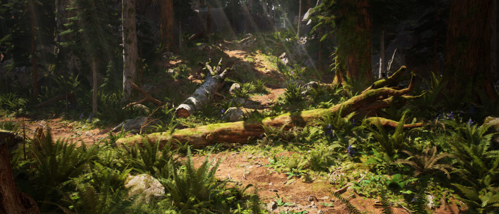 jonjo-hemmens-9-scaled