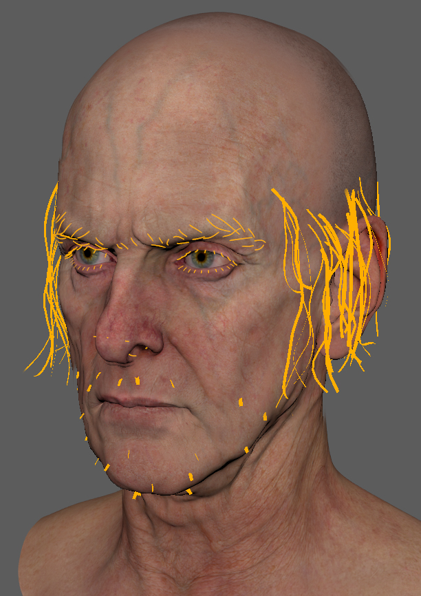 colleenpecklarson_frollo_hair_02