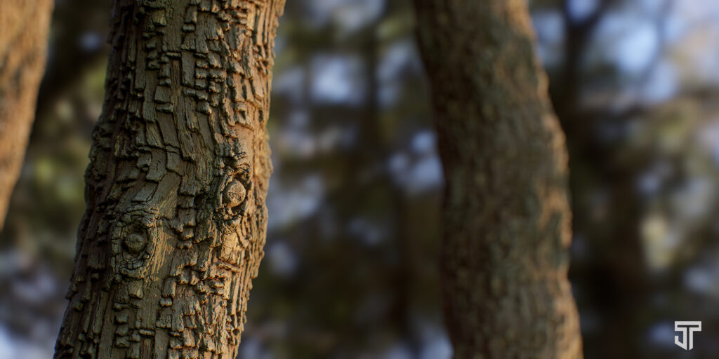 2.-Render-Wide-scaled