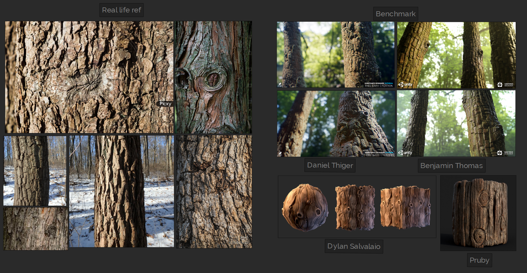 5.-Tree-Bark-Reference