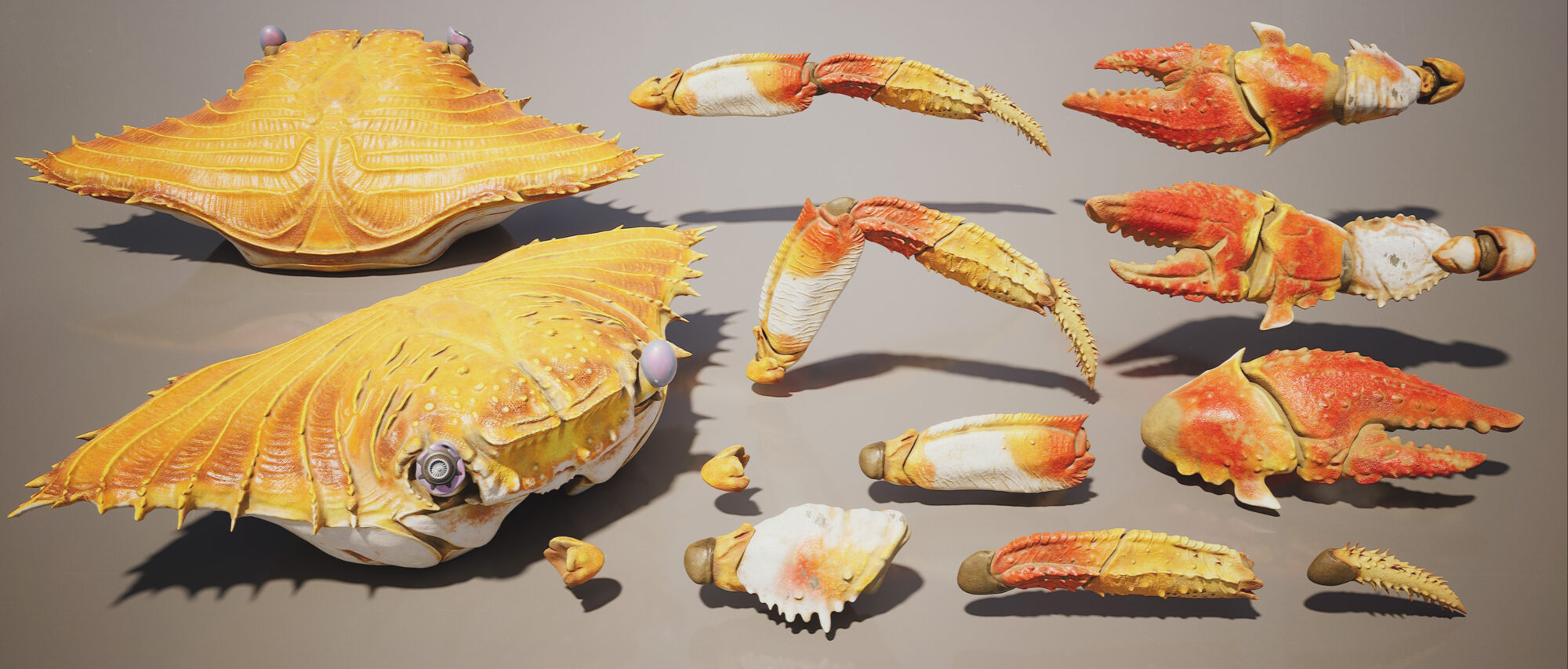 AssetBreakdown_Crab-scaled
