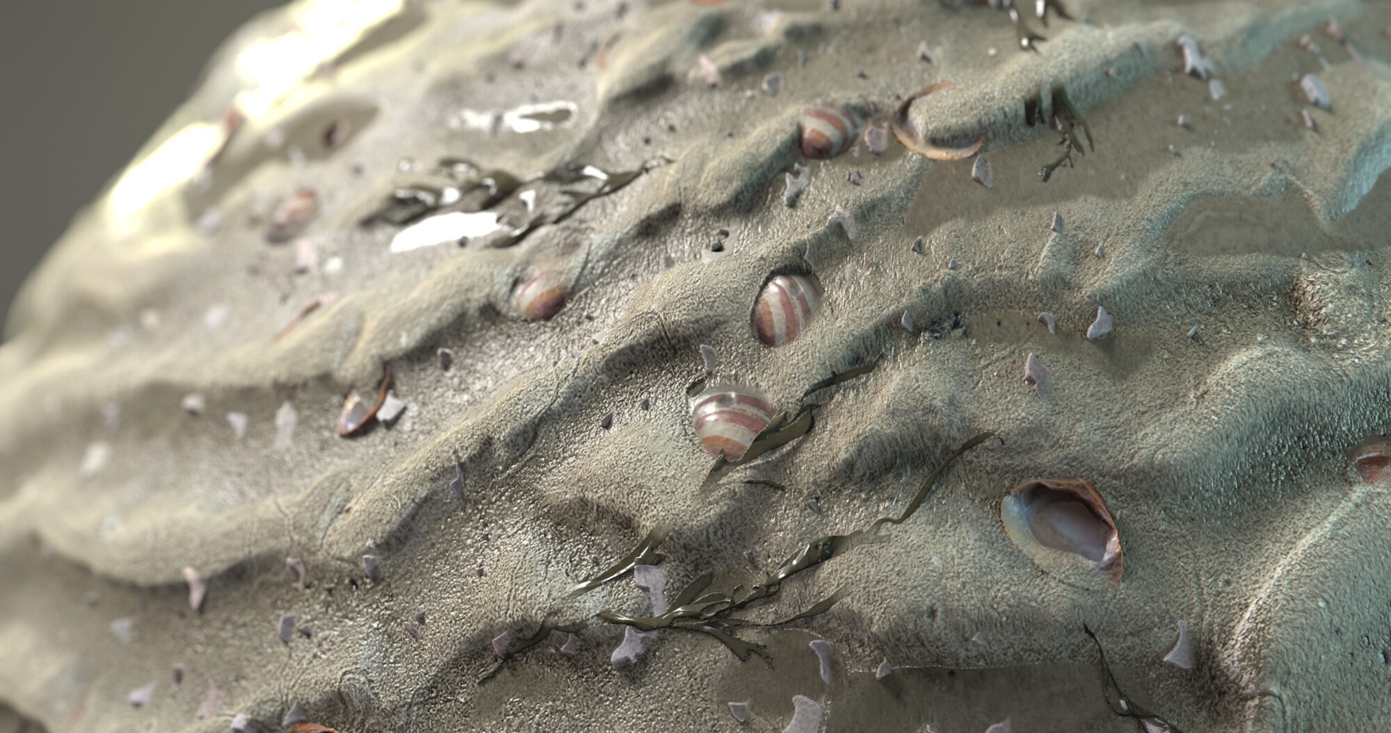 closeup_render-scaled