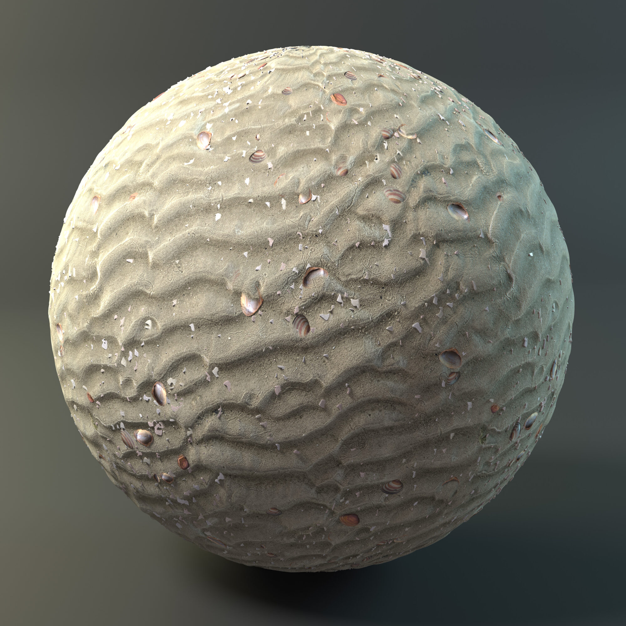 render_with_shells_and_chips-scaled