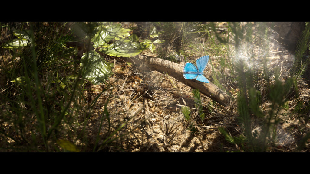 pontus-ryman-butterfly-scaled