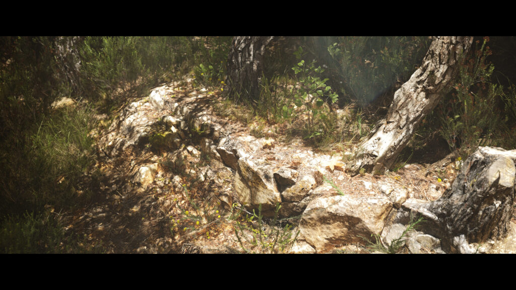 pontus-ryman-forest-scaled