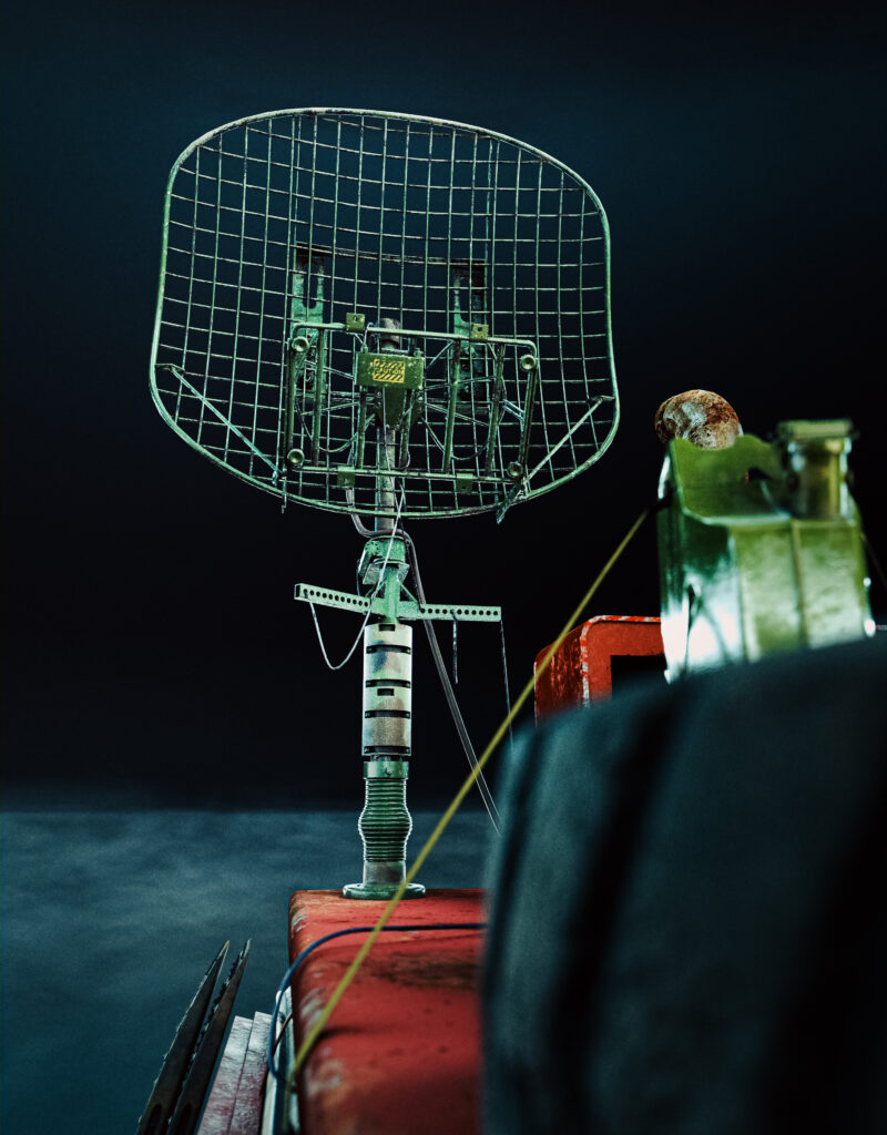 ewa-wierbik-ziabka-cam-1-vertical-scaled