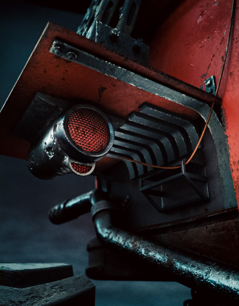 ewa-wierbik-ziabka-cam-9-vertical