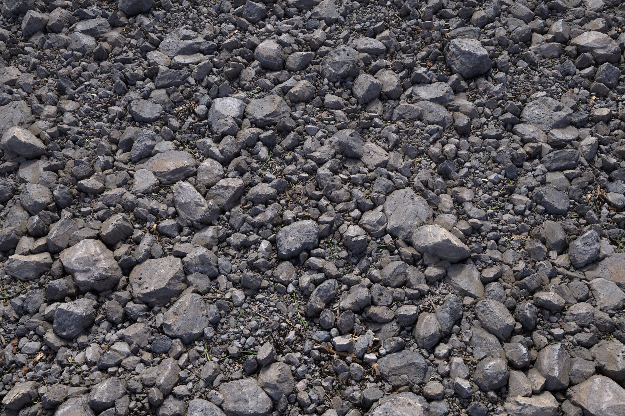 02-01_Goals-Inspiration_HCH-scaled