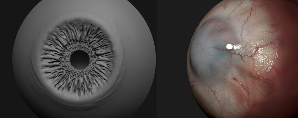 IRIS_CORNEA_ZBRUSH-scaled