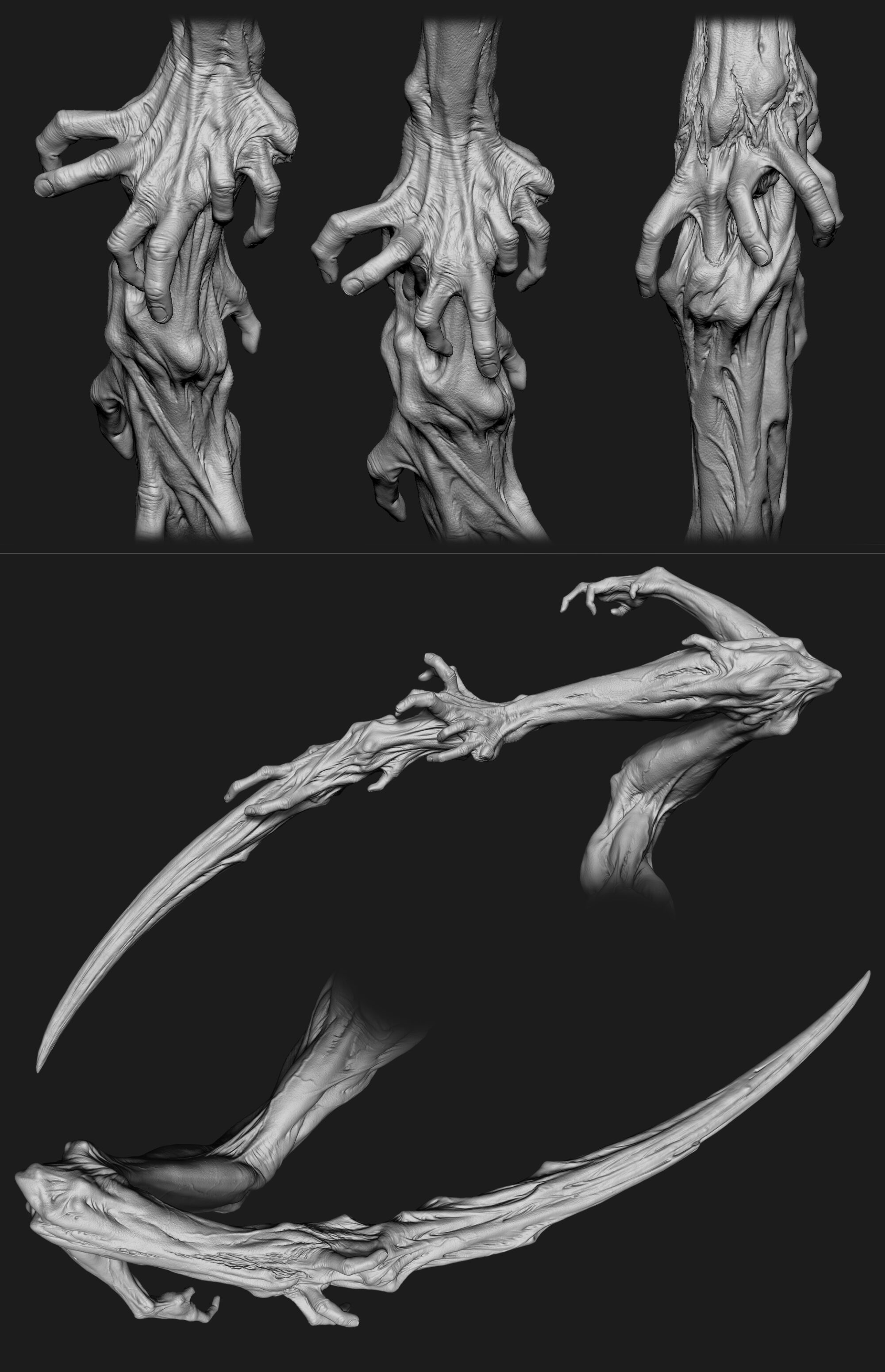 SCULPTING_hand_limbs-scaled