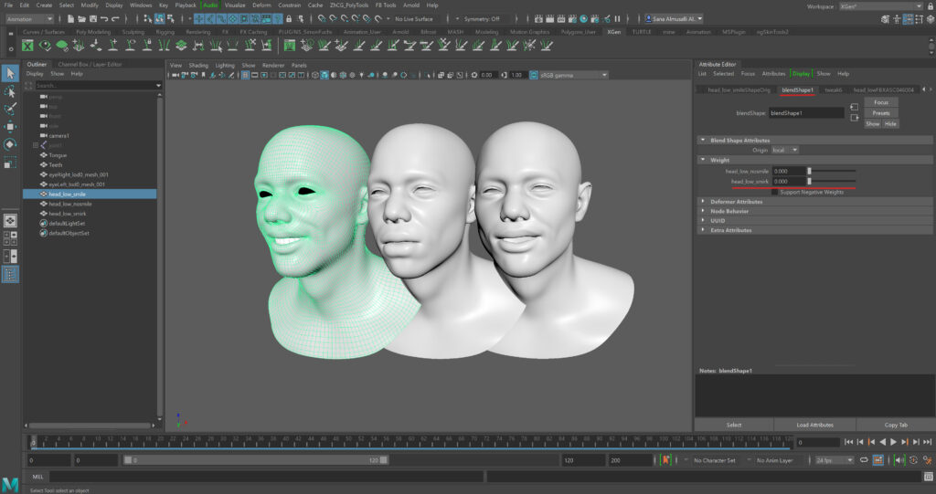 18_BlendShape_5-scaled