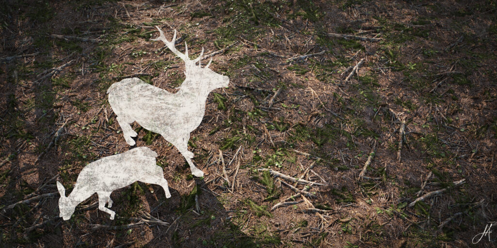 JonasArmellini_ForestGround_RenderDay_01-scaled