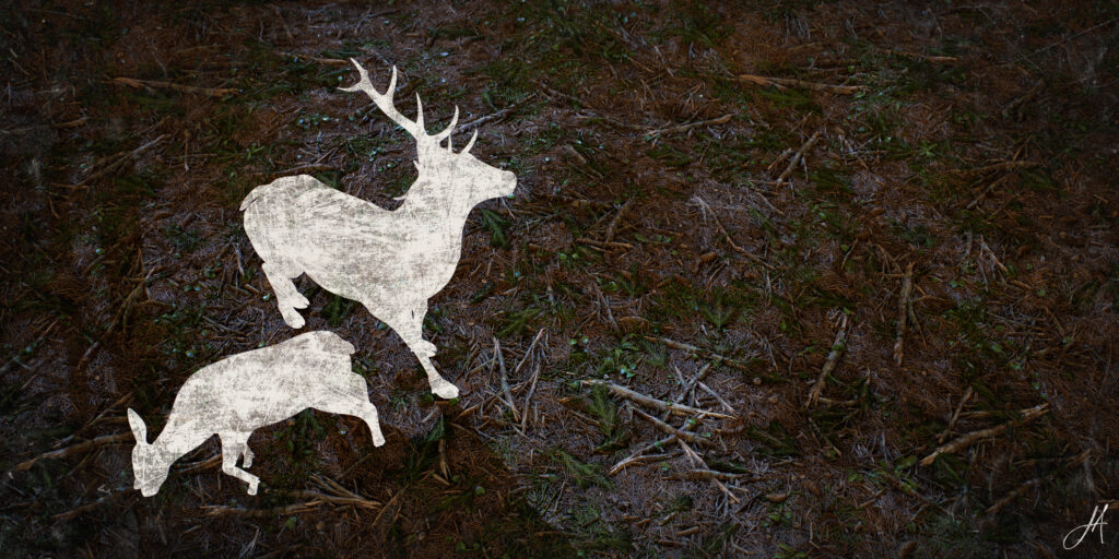 JonasArmellini_ForestGround_RenderNight_01-scaled