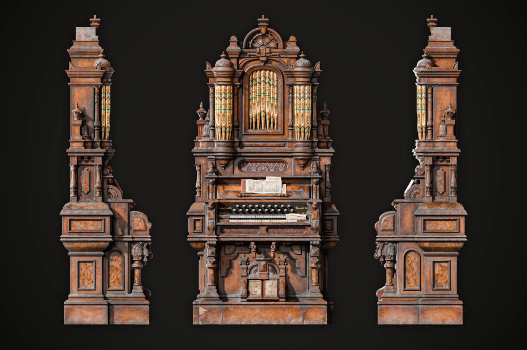 organ_side_views