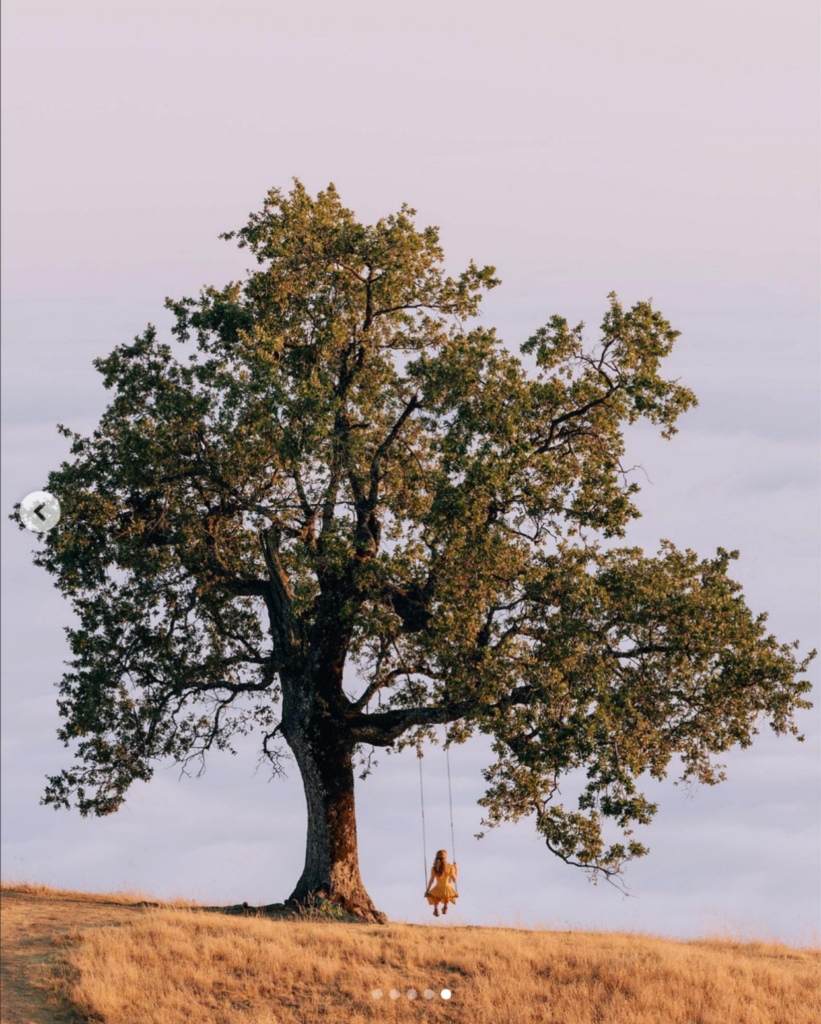 3_Instagram_Inspiration