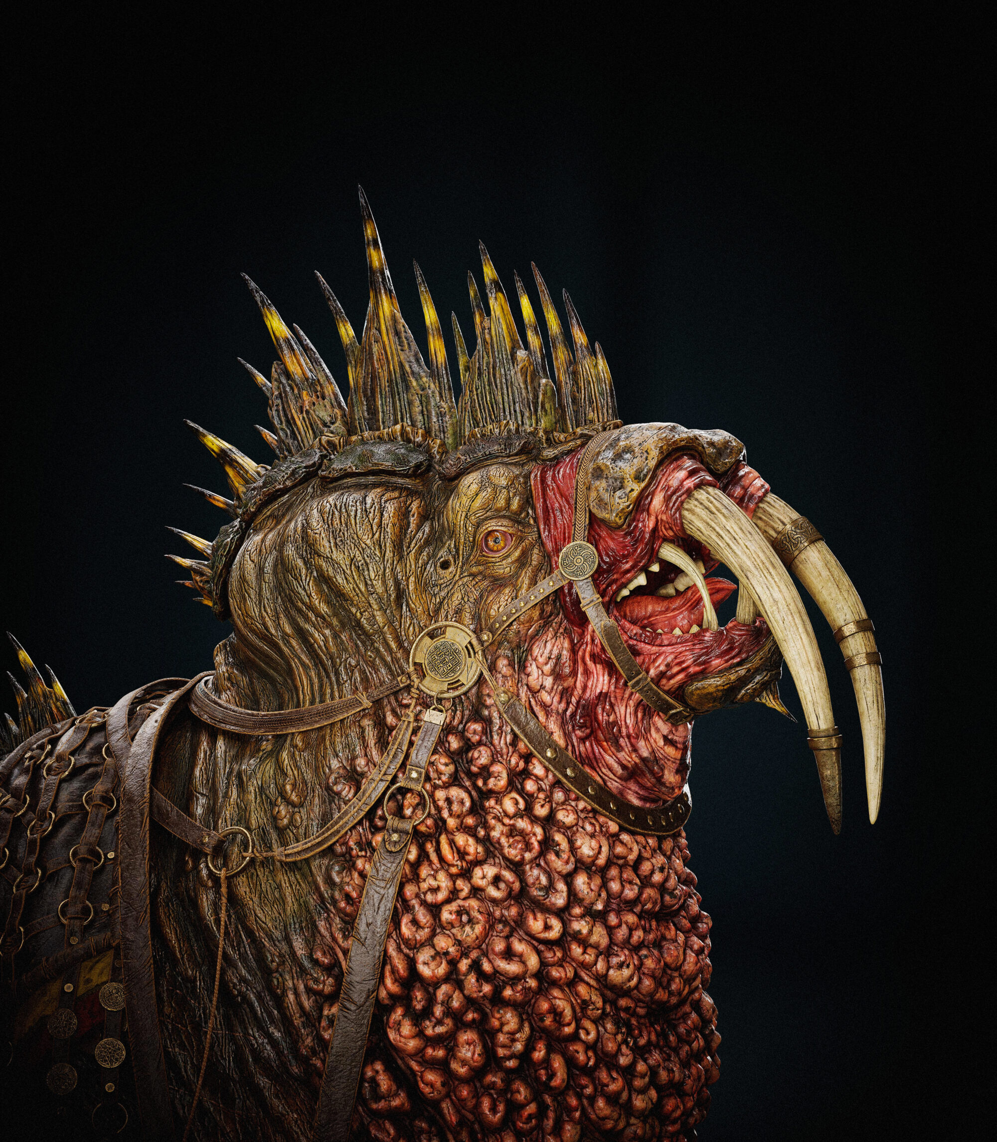 Image_03_1_FinShot-scaled