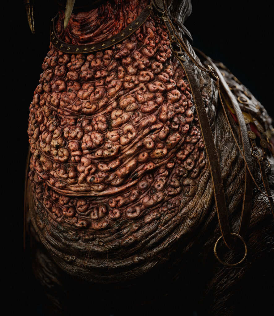 Image_03_2_FinShot-scaled