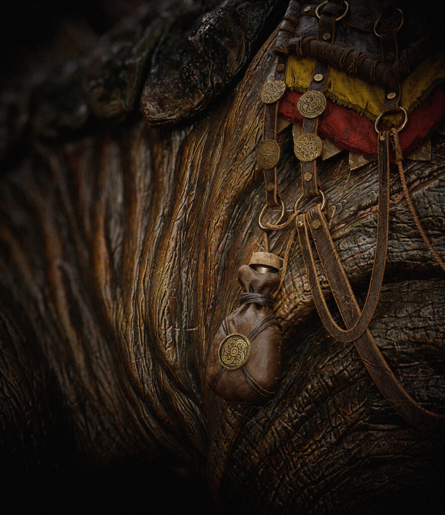 Image_03_4_FinShot-scaled