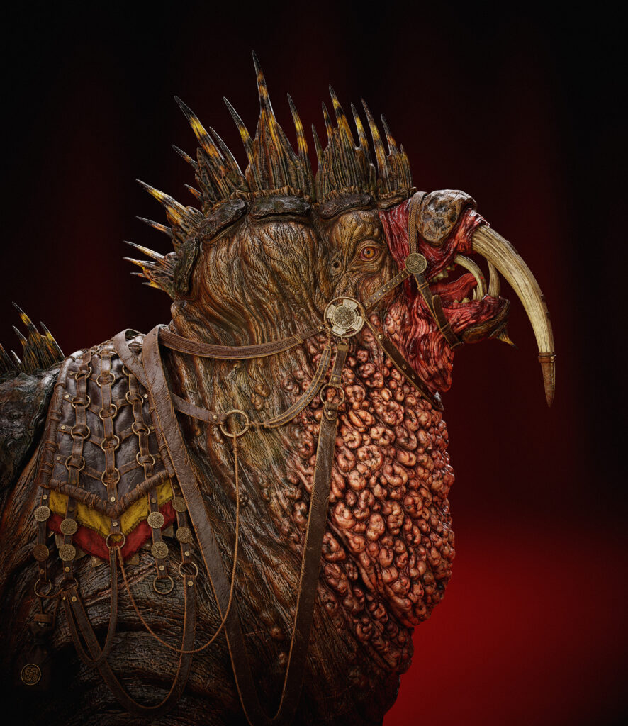 Image_03_7_FinShot-scaled