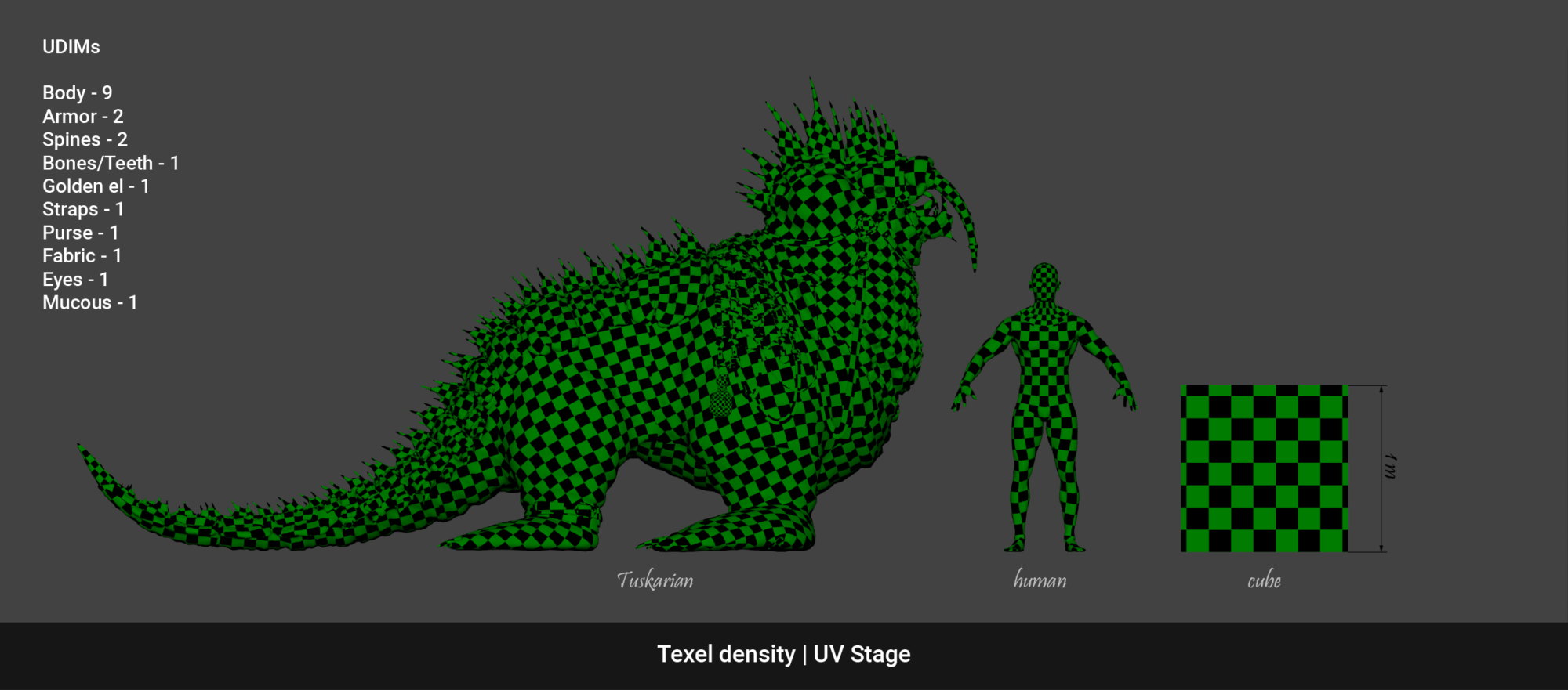 Image_09_TexelDensityChecker