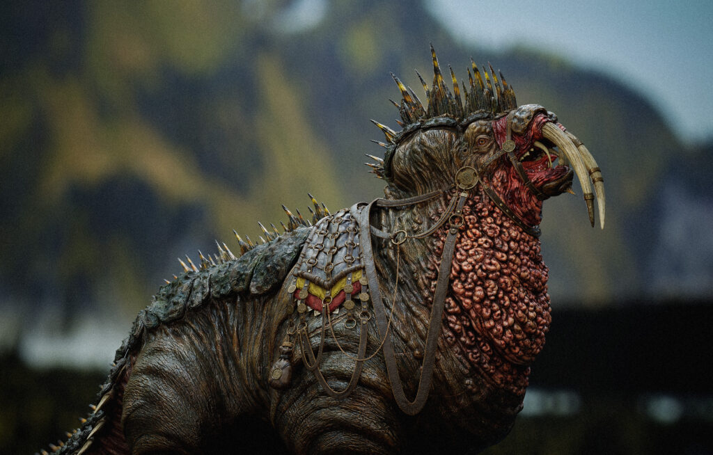 Image_16_1_FinShots-scaled