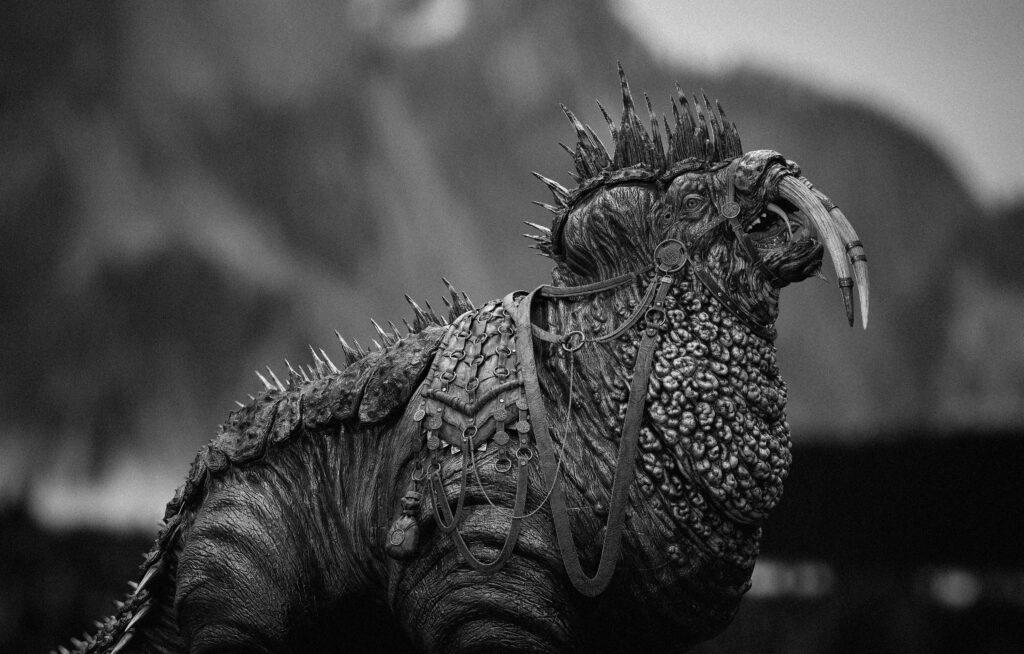 Image_16_2_FinShots-scaled