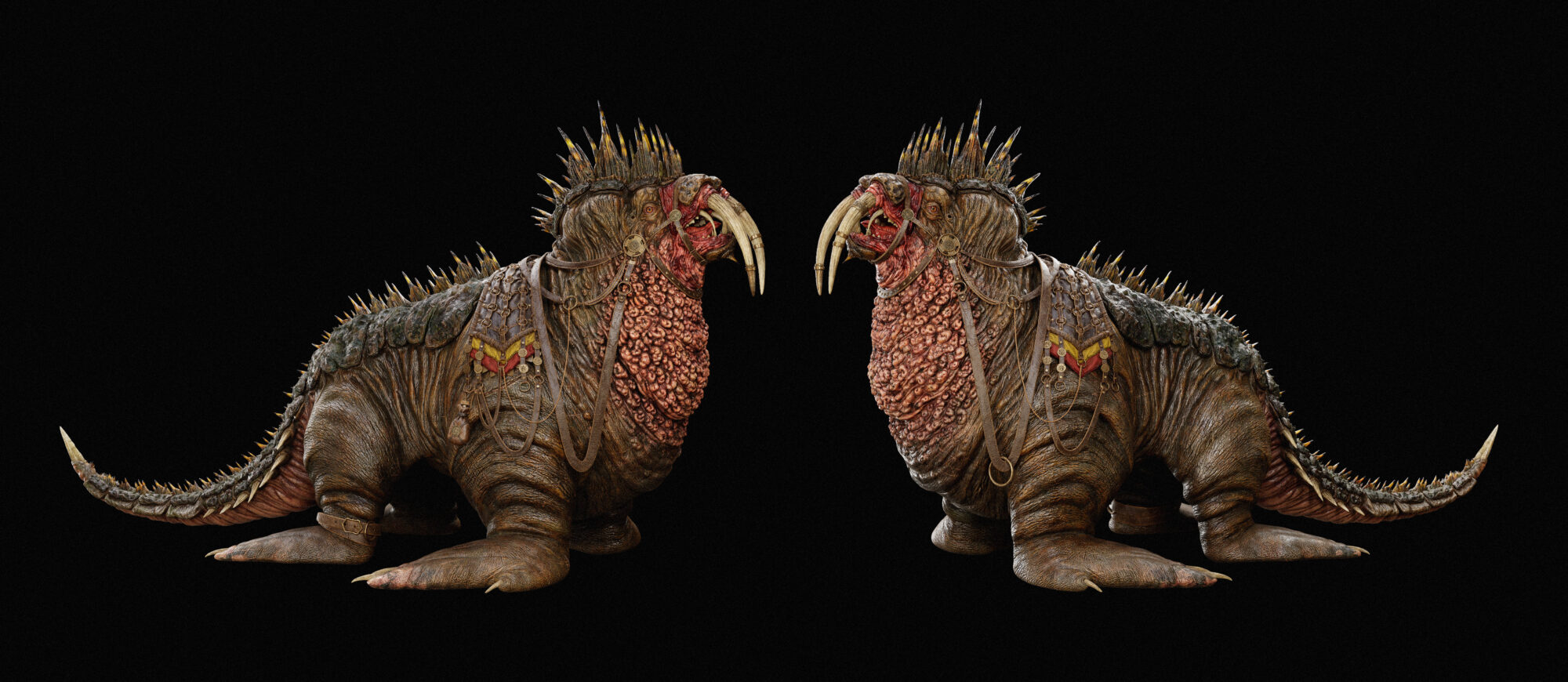 Image_17_FinShotTwoSides-scaled