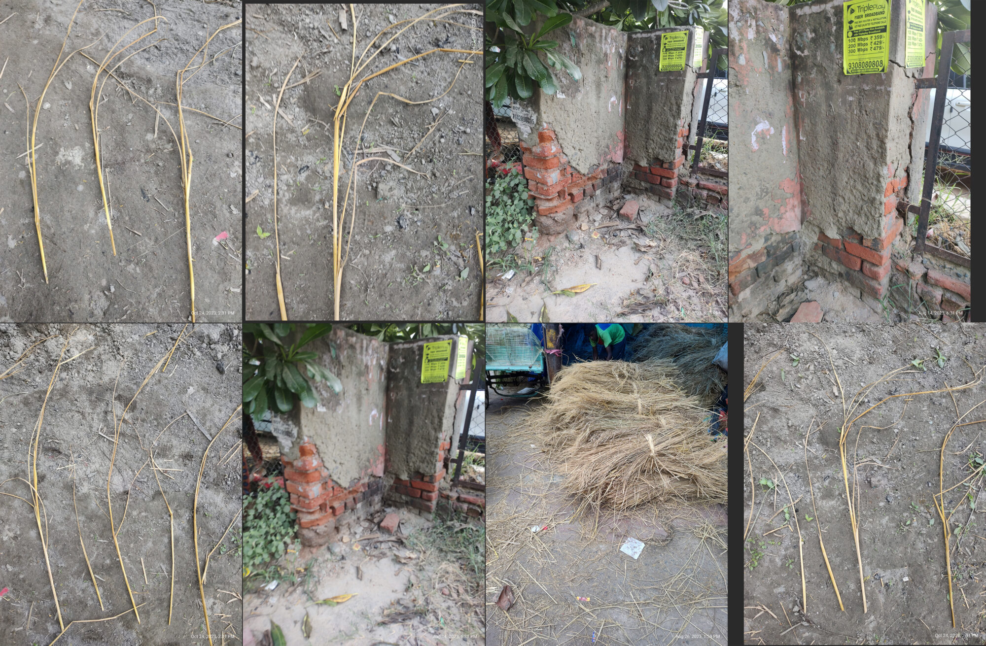 Photos_Clicked-scaled