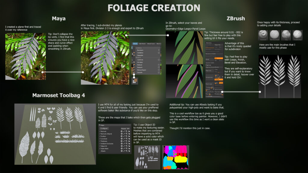 Foliage_Breakdown_01-scaled