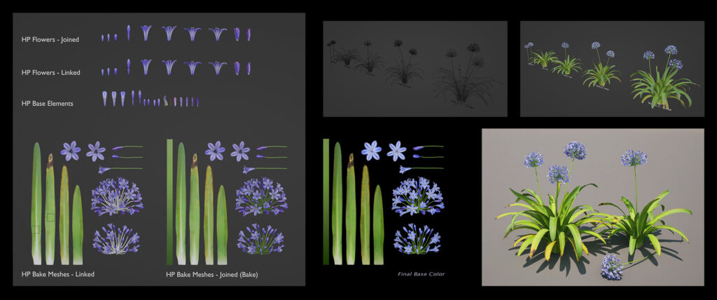 ItalianCourtyard_BlueLily2_martiinem