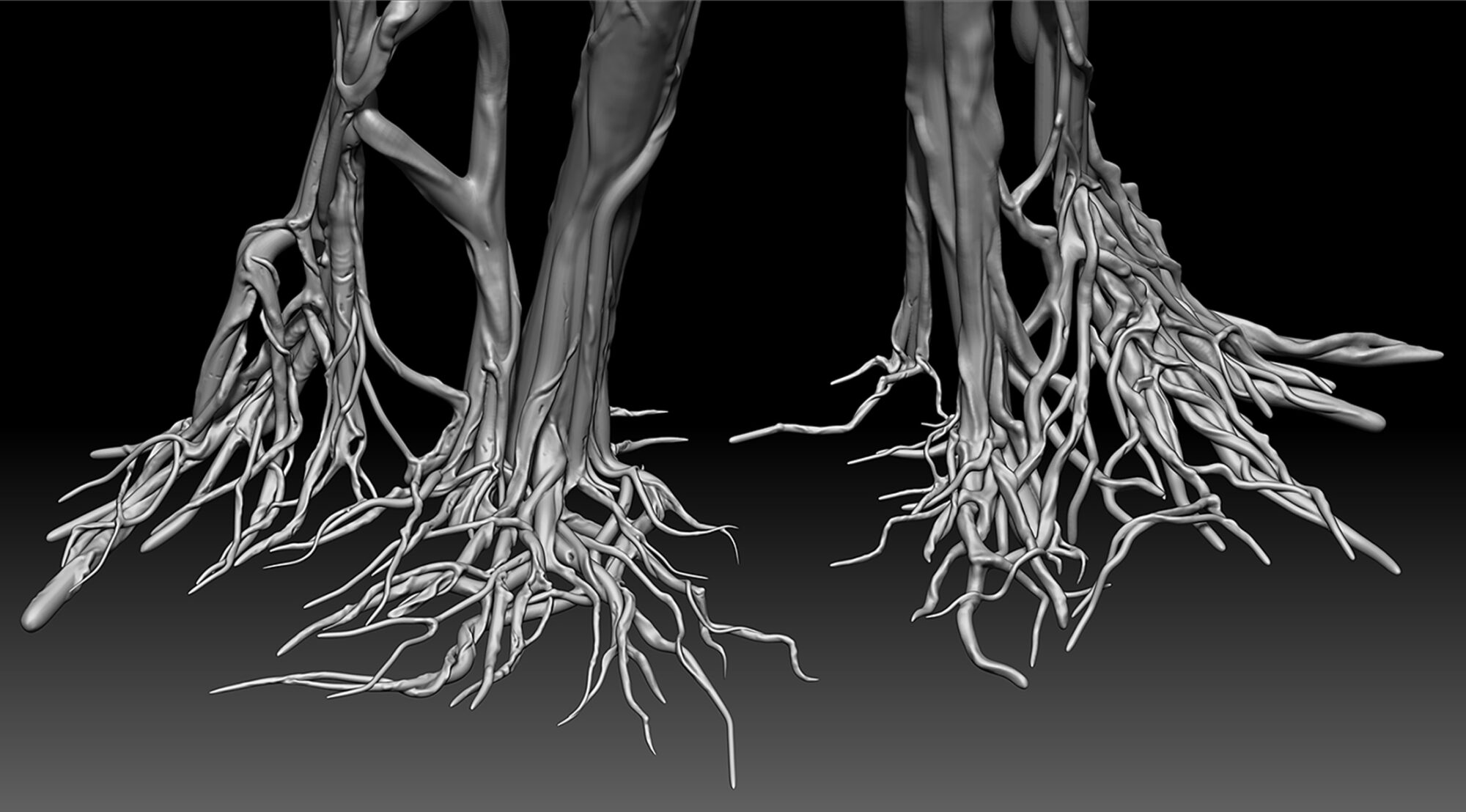 Roots04_Detailed