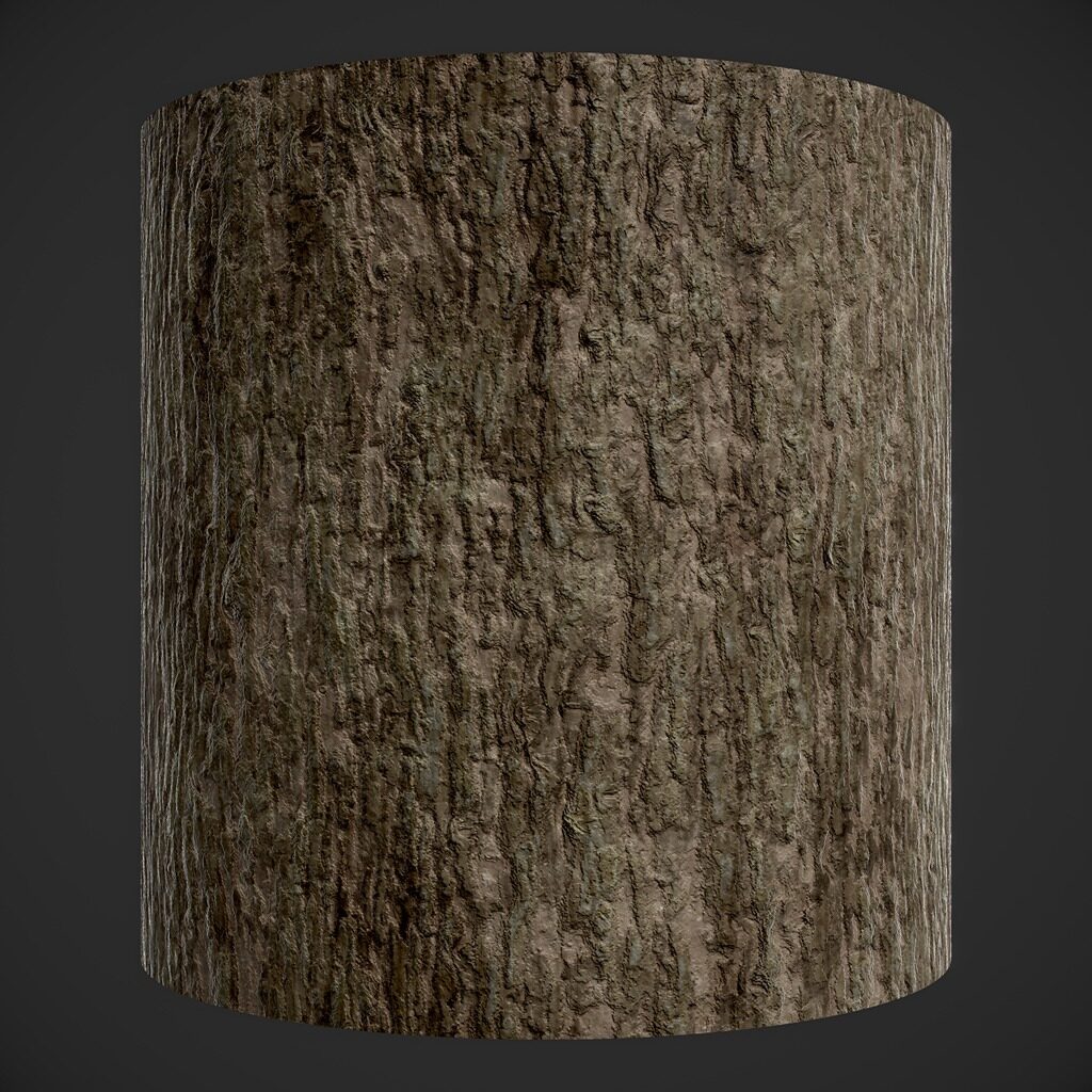 04_bark_cylinder