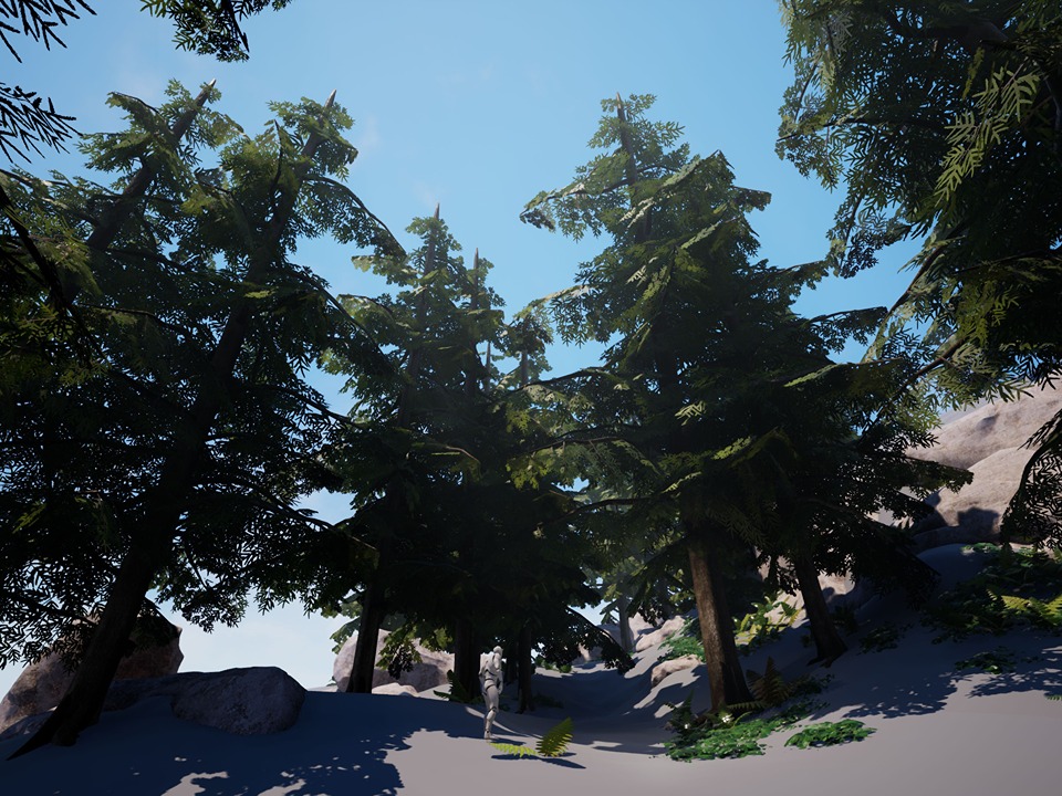 04_trees_canopy_02