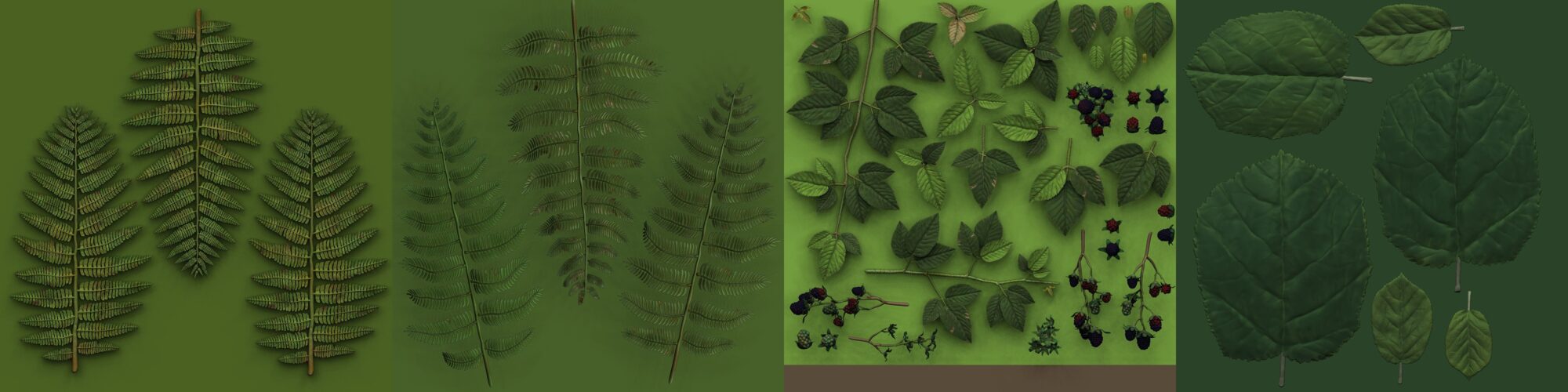 05_plants_hp_02-scaled