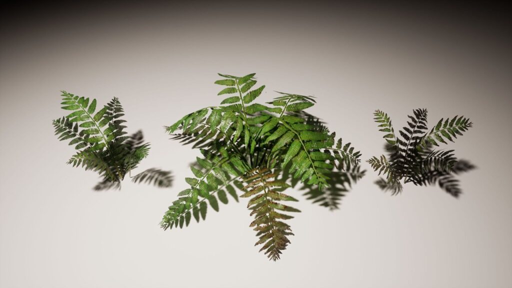 05_plants_showcase_01