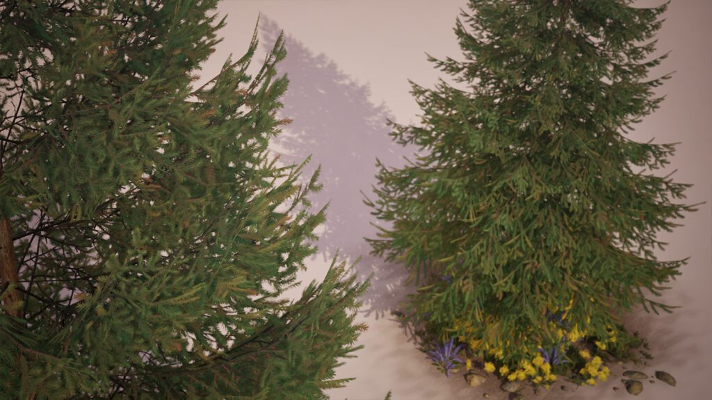 rapicault-quentin-rapicaultq-pines-03