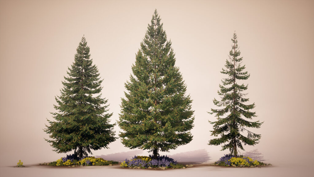 rapicault-quentin-rapicaultq-render-01-resize