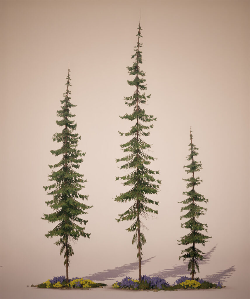 rapicault-quentin-rapicaultq-render-02-resize