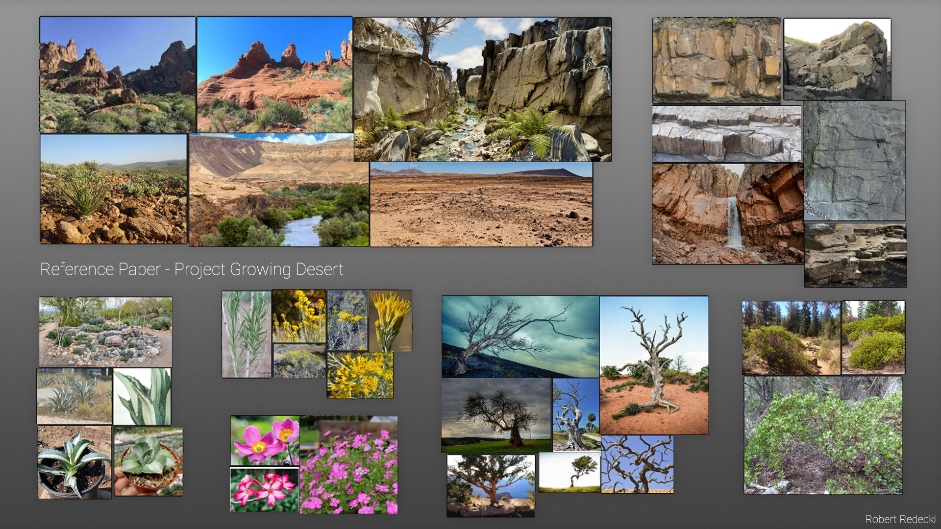 Robert_Redecki_Growing_Desert_01