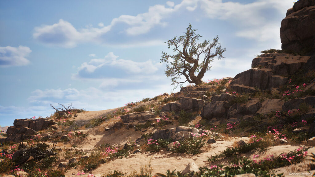 robert-redecki-robert-redecki-desert-02e