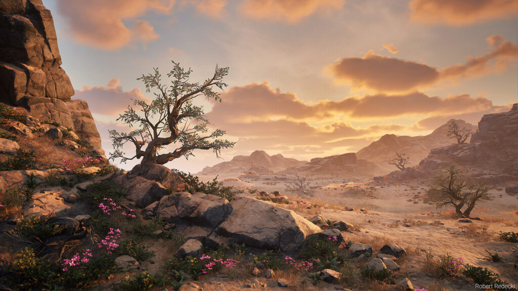 robert-redecki-robert-redecki-desert-03c