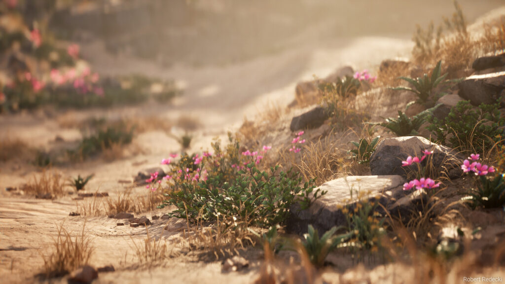 robert-redecki-robert-redecki-desert-closeup-01