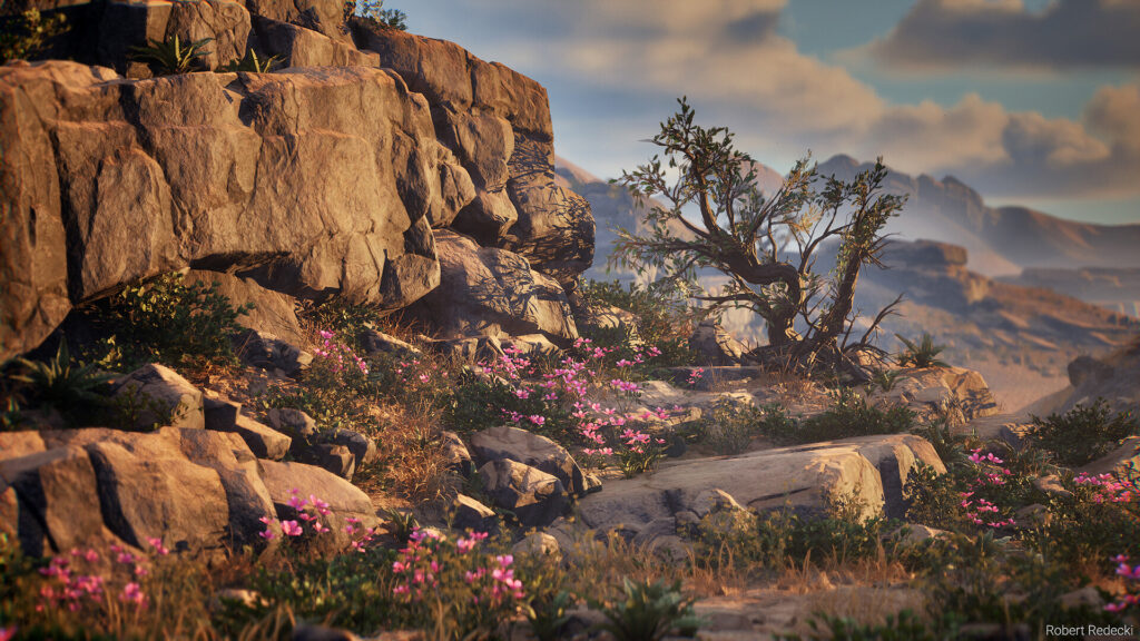 robert-redecki-robert-redecki-desert-closeup-02